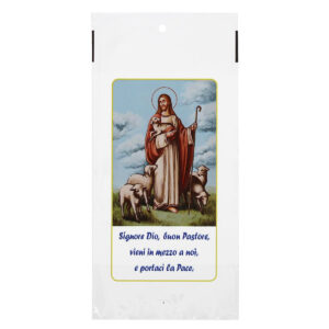 Bustina Domenica delle Palme Gesù Pastore 11x23 cm 200 Pz