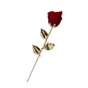 Rosa Stabilizzata Con Stelo Dorato 22 Cm