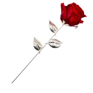 Rosa Stabilizzata Con Stelo Argento 32 Cm