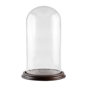 Campana Di Vetro Con Base In Legno Diametro 15 Cm