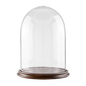 Campana Di Vetro Con Base In Legno Diametro 13 Cm