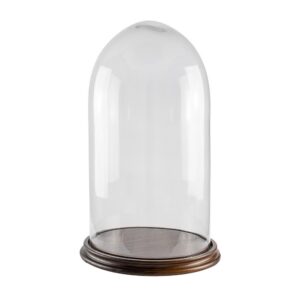 Campana Di Vetro Con Base In Legno Diametro 10 Cm