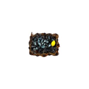 Cesto con Cozze da 4 cm