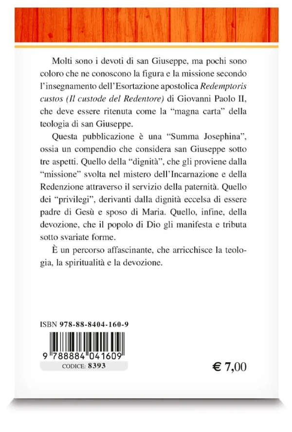 San Giuseppe - Dignità, privilegi, devozioni - Image 2